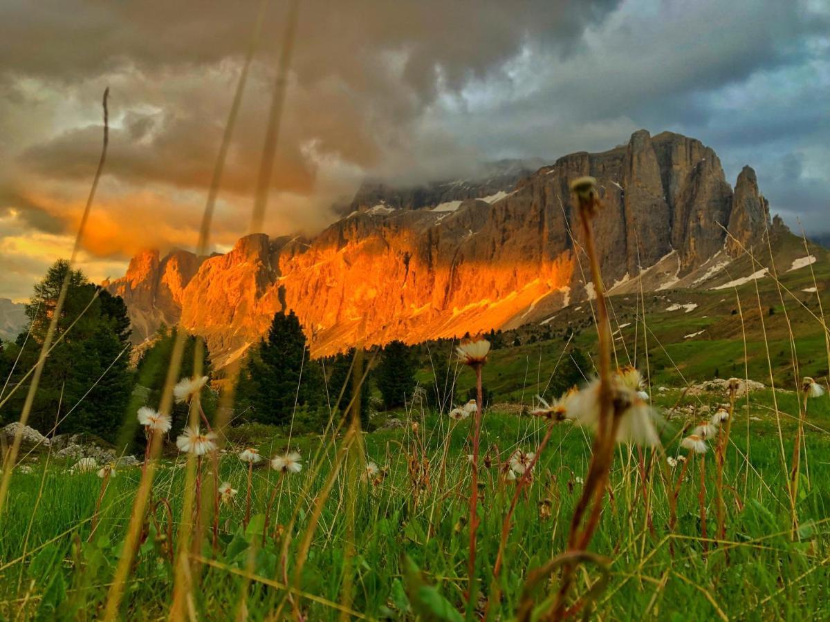 Passo Sella Dolomiti Mountain Resort Selva di Val Gardena Exterior foto